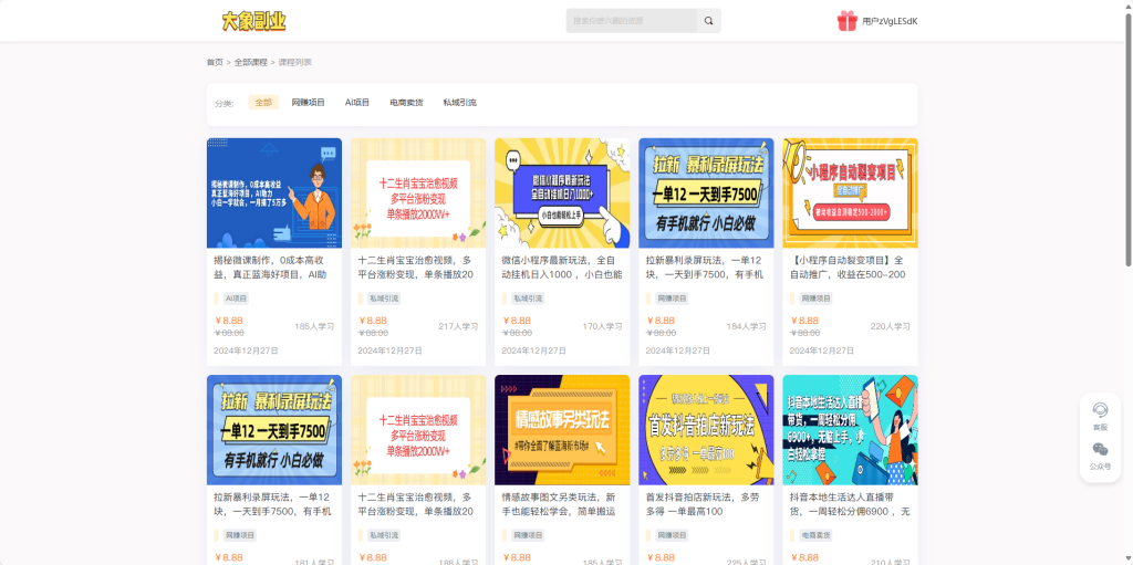 大象副业长期卡自助提卡-实干笔记
